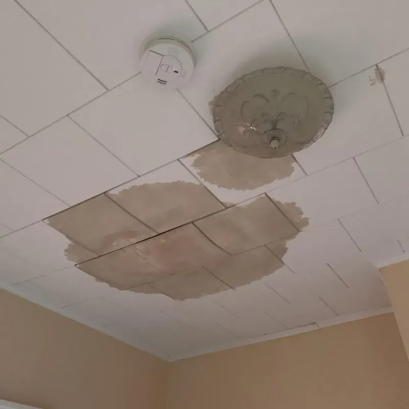 Ceiling Water Damage Repair in Madison Center, CT