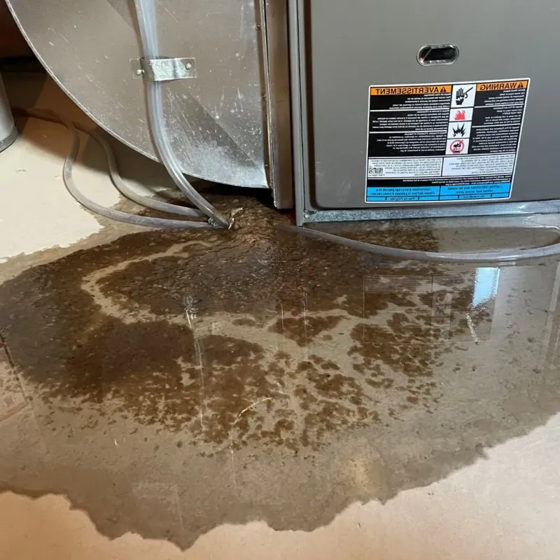 Pipe Burst and Leak Restoration in Madison Center, CT